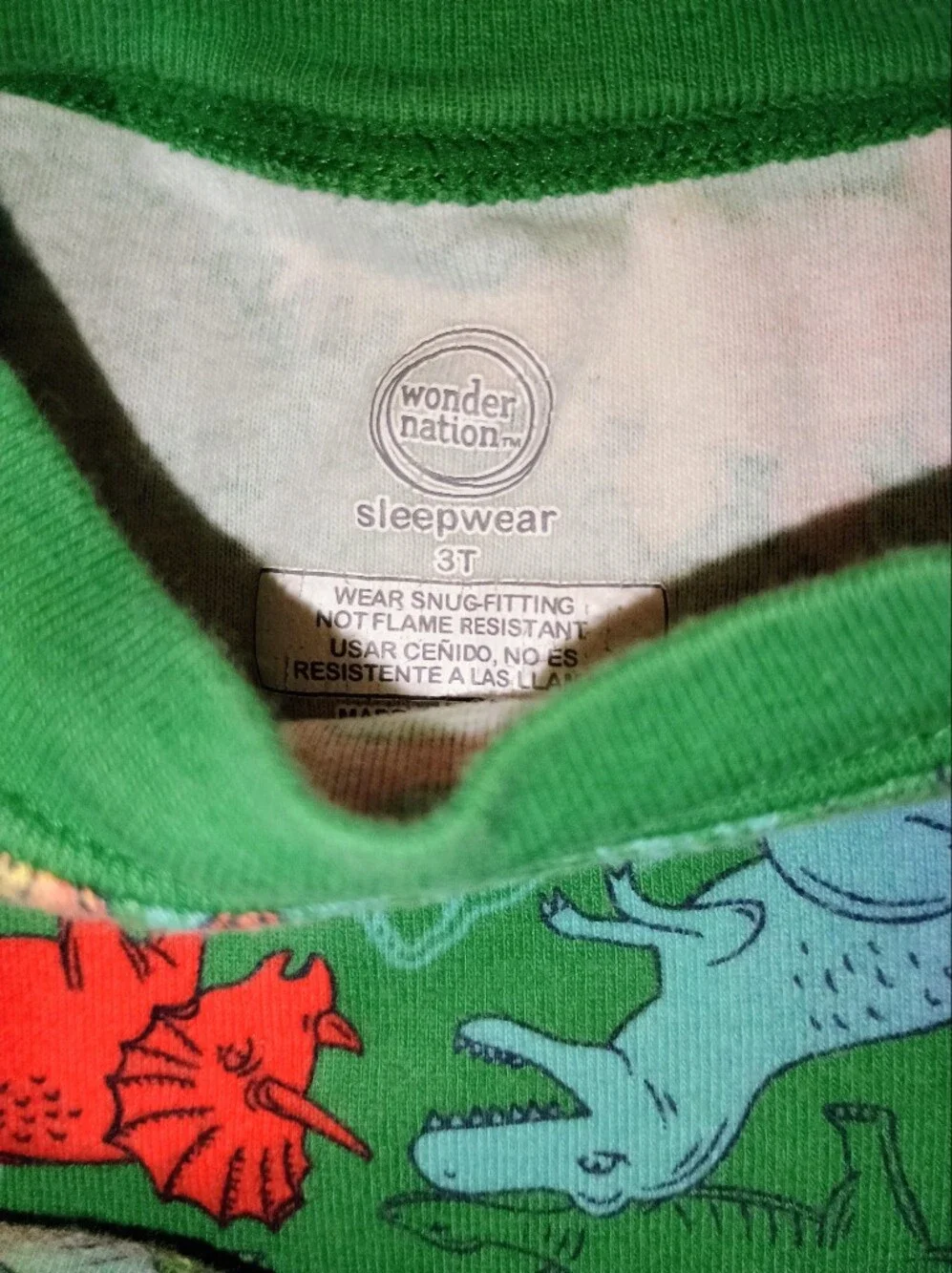 4/$15 Green Dino PJ Set